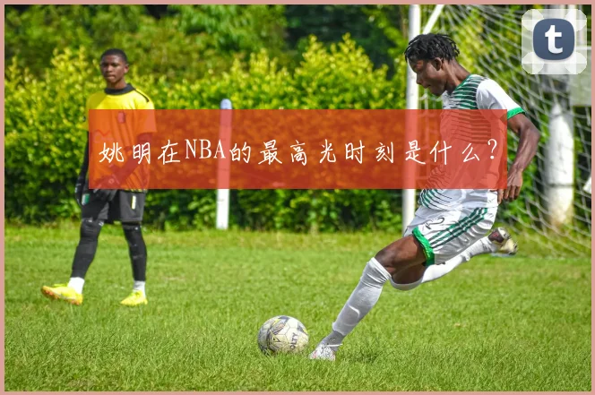 姚明在NBA的最高光时刻是什么？