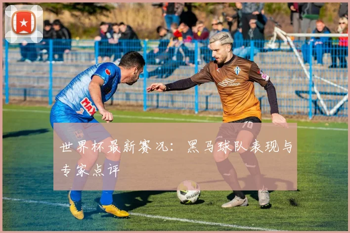 世界杯最新赛况:黑马球队表现与专家点评
