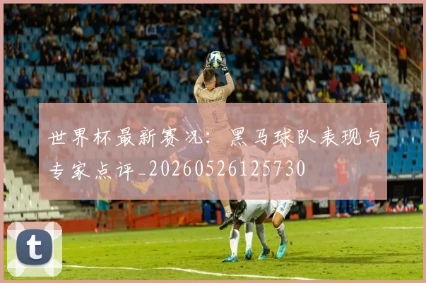 世界杯最新赛况：黑马球队表现与专家点评_20260526125730